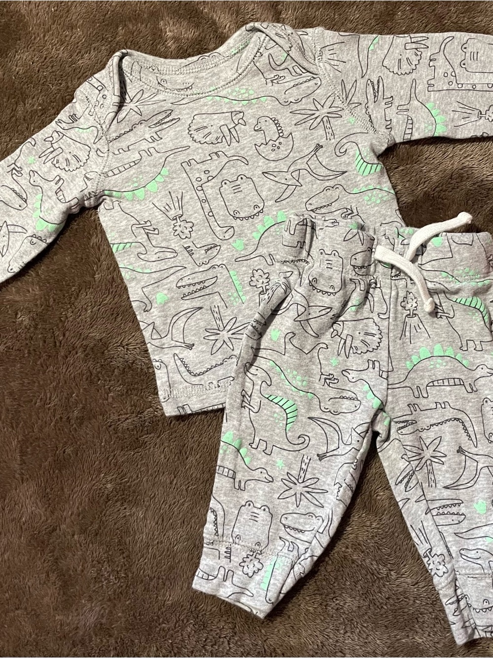 Carter's Grey Set with Green Dino Accents